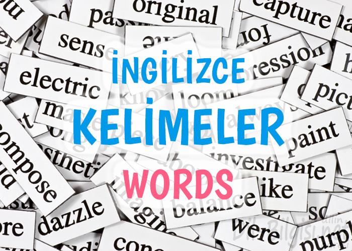 İngilizce Kelimeler - Vocabulary | İngilizceDilBilgisi.net